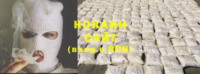 где купить наркотик  Грозный  Cocaine Fish Scale 